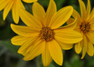 take up to 5 high resolution photos on any category you need small2