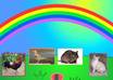 create 2 great Games for Toddlers, which will speak to your child using his own name small2