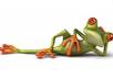 make a Frog talk and say anything you want it to small2
