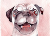 create a small painting of your Pug from your photo small3