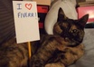 send you a unique picture of my cat holding a sign with your message on it, fun and cute small3