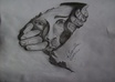 draw almost ANYTHING you want small3