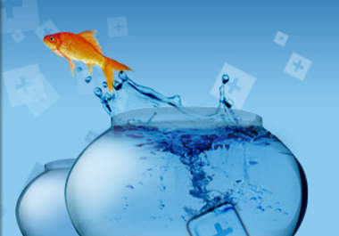 professionally Review YOUR Website or Blog big3