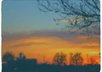create a digital painting for you out of any clean picture you send me small3