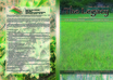 do photoshop work for you small3