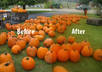 create dreamy effects on 5 of your images small3