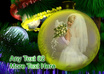 create a Christmas video promoting your product, website, services or whatever you want small3