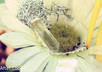 edit your photo small3