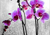 take your 5 photos and dramatically enhance one color to make them pop so you can give them out as cool gifts small3