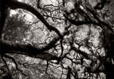 expertly turn up to 10 of your color photos into black and white big3