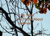 write a 500 word article with tips and advice On How to prepare for and Survive Natural Disasters Or how to Survive alone in The Woods small3