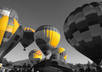 make TEN of your photos black and white small3