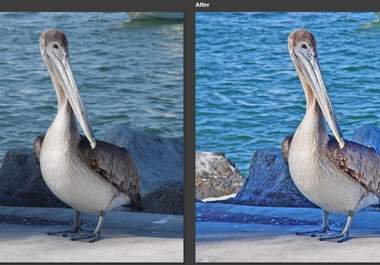 enhance any 2 of your digital photos big3