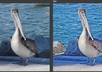 enhance any 2 of your digital photos small3