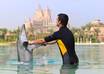 provide a itinerary or trip plan to visit Dubai up to 2 to 15 day small3