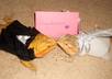 take a picture of my bearded dragons in a bridal gown and tux with your message small3