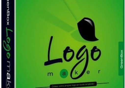 create 3 Professional Logos for you big1