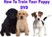 give you a DVD on how to Train Your Puppy