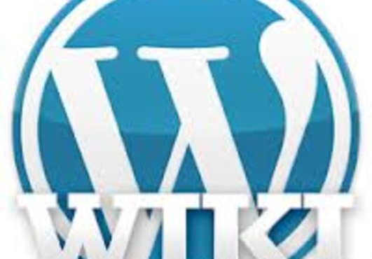 I will install Wordpress with your wp theme, also install few top seo wordpress plugins. Also I will give your wordpress blog backlink to wiki edu or gov with more than 1000 links, so it will be indexed faster on google. 