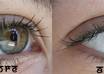 change your eye color of 5 images just