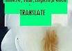 Chinese translation
