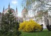 give you a list of great things to see and do in Budapest