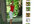 create an avatar from your picture