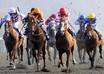give You The Explosive Impact Horse Racing Betting System