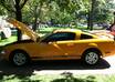 advertise your business/website on the rear windshield of my bright orange mustang