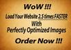 optimize all the images in your wordpress site for shortest possible file size without loss of quality