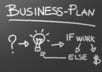 review your business plan and offer advice