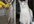 give you advice about your pet cat