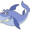 sharkie