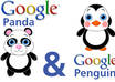 take your website out of the sandbox or relieve from panda or penguin