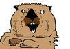 Otter