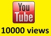 give you 10000 youtube views
