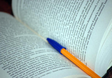 proofread and edit your document, school paper, web site, or online auction listings big1