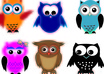 sell you 6 Owl Vector Illustrations