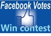manage 110 facebook vote,apps for any contest,website even photo