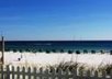 send you a postcard from Florida