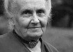 send you one ebook on the Montessori method