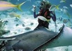 send you over 200 high quality articles on Diving