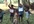 create a FREESTYLE Dancing video performed by village boys on traditional tune displaying your message
