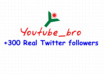 [express gig] add 300+ Real Looking Twitter followers without your password