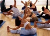 professionally provide you over 2500 high quality articles on Health and Physical Fitness