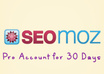 Seo support