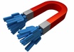 give you access to a program that will generate one million tarted leads everyday
