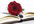 create a 5 page website for romance writers