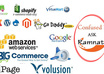 do bigcommerce,Magento,prestashop,Shopify, Amazon,ebay, volusion customisation