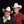 texashomesduo